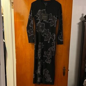 Mesh Long Sleeve Black Dress with Silver Patterns